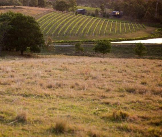 Oceanview Estate Vineyard Cottages Ocean View Ngoại thất bức ảnh
